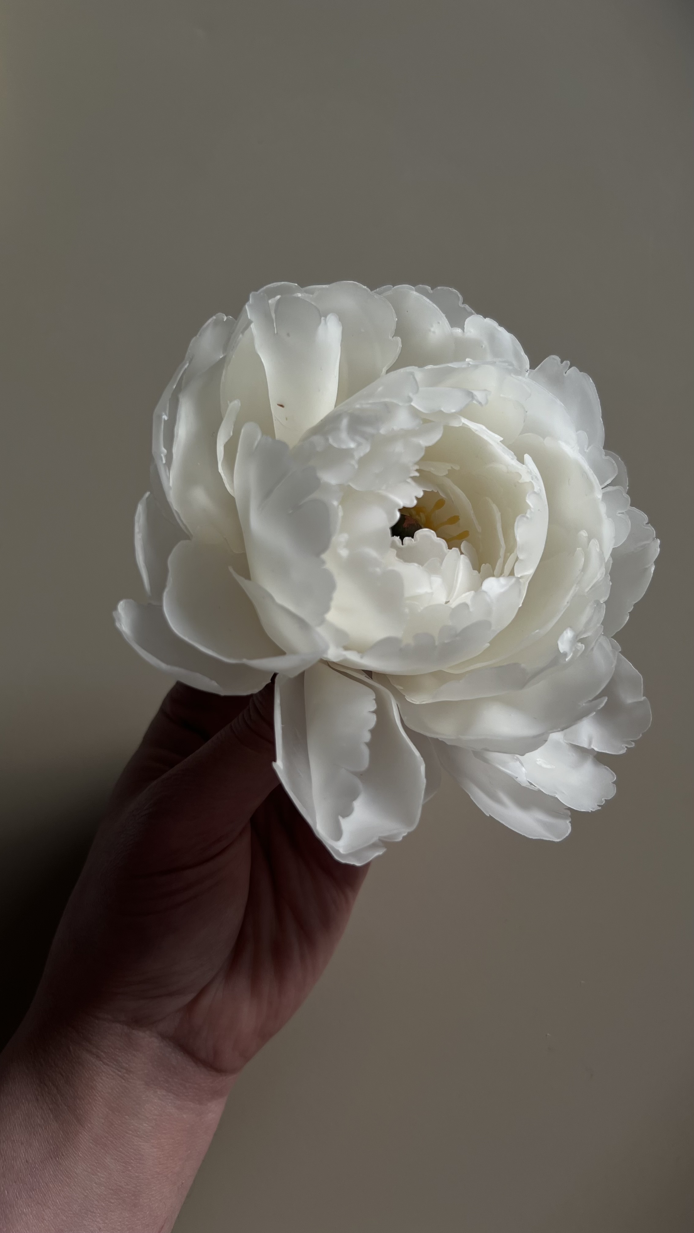 Pfingsrosenkerze